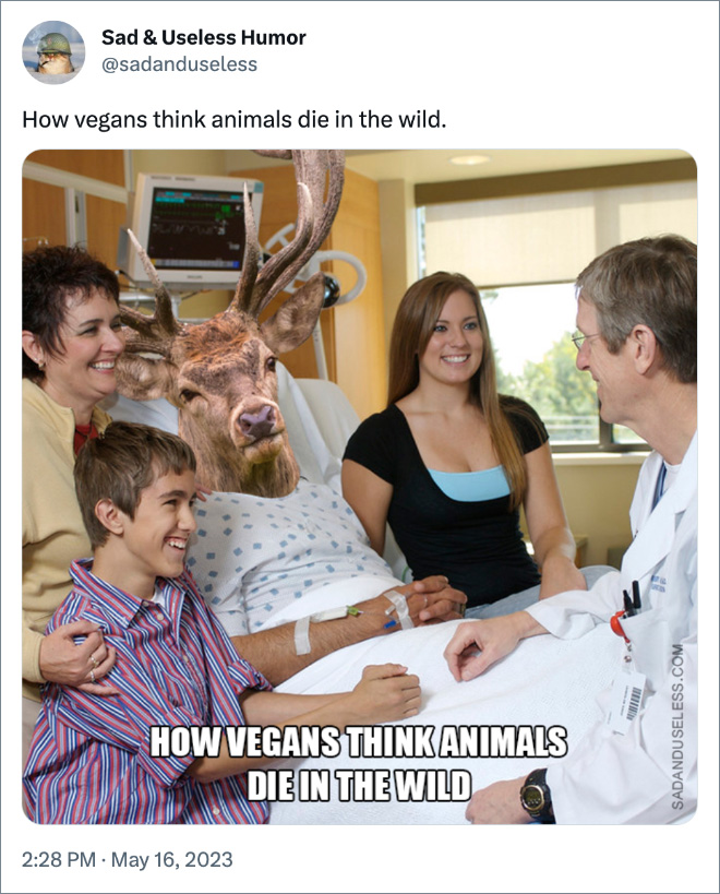 How vegans think animals die in the wild.