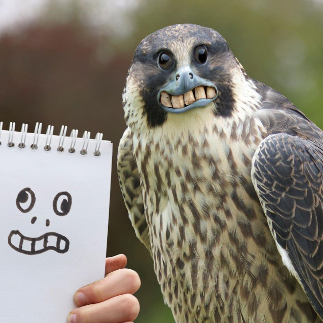 When kids drawings come to life...