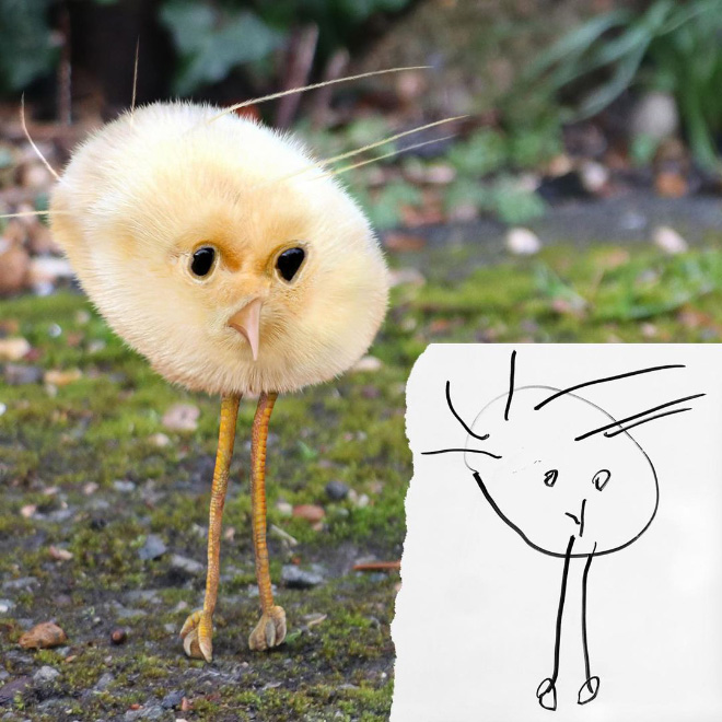 When kids drawings come to life...