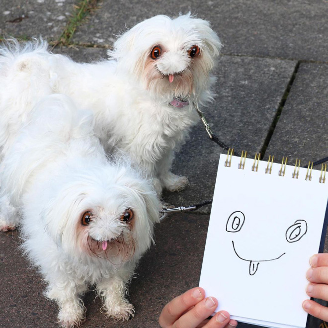 When kids drawings come to life...