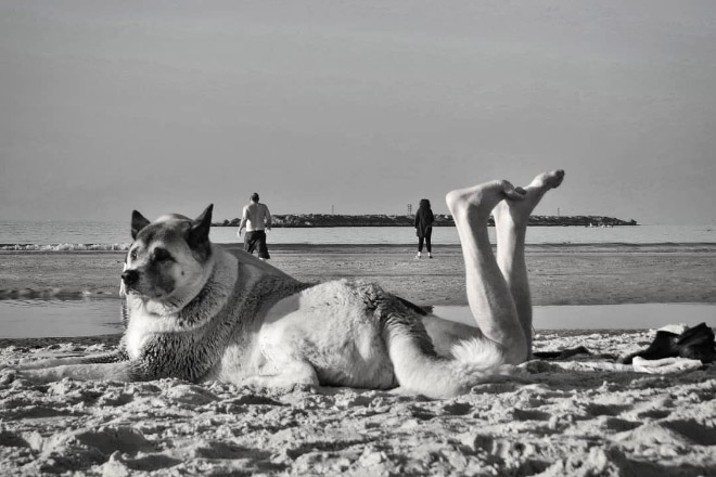 Funny street photography by Anthimos Ntagkas.