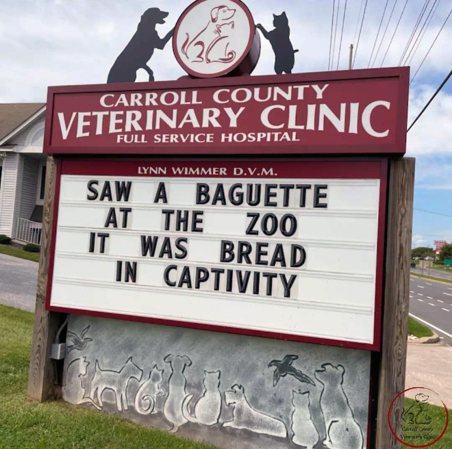 Carroll County Veterinary Clinic has the funniest signs.