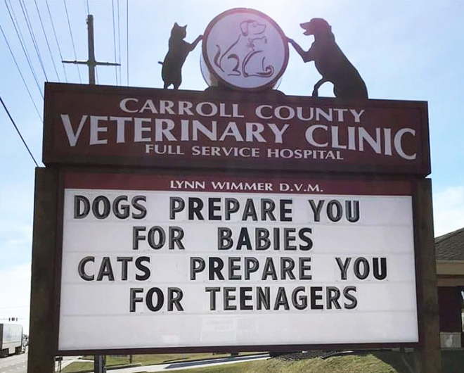 Carroll County Veterinary Clinic has the funniest signs.