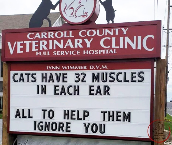 Carroll County Veterinary Clinic has the funniest signs.