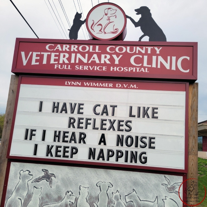 Carroll County Veterinary Clinic has the funniest signs.