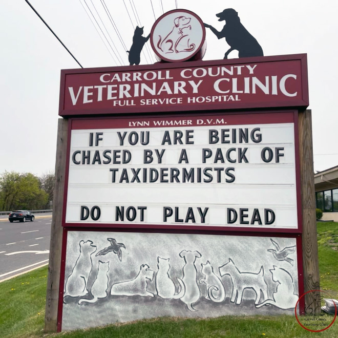 Carroll County Veterinary Clinic has the funniest signs.