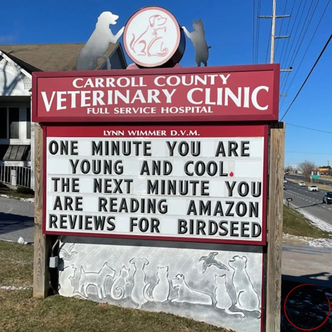 Carroll County Veterinary Clinic has the funniest signs.