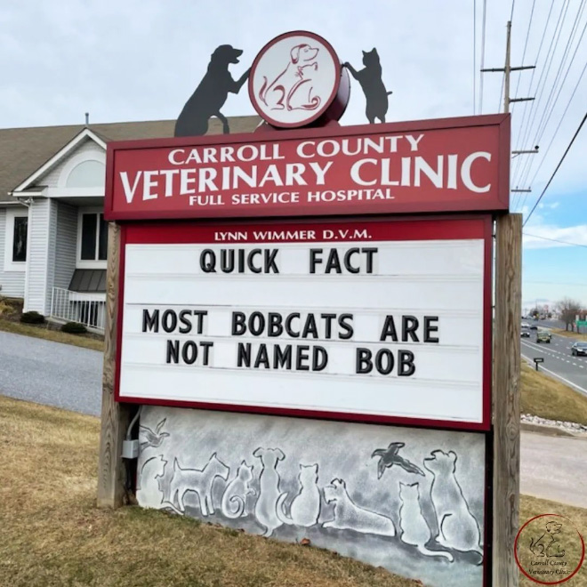 Carroll County Veterinary Clinic has the funniest signs.