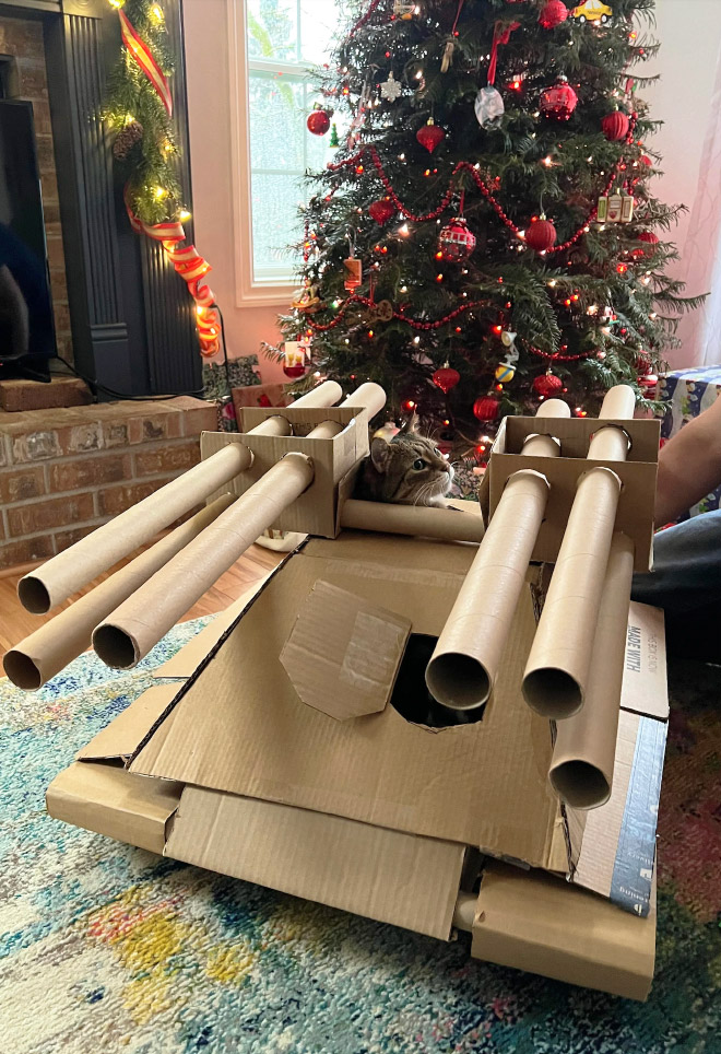 Cat army: cat in a cardboard tank.