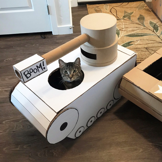 Cat army: cat in a cardboard tank.