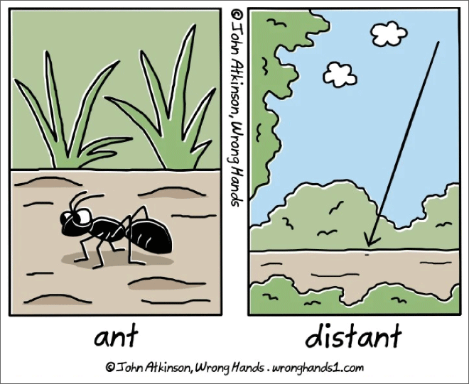 Ant vs. distant.