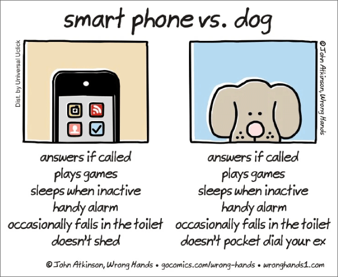 Smart phone vs. dog.