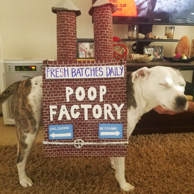 Poop factory.