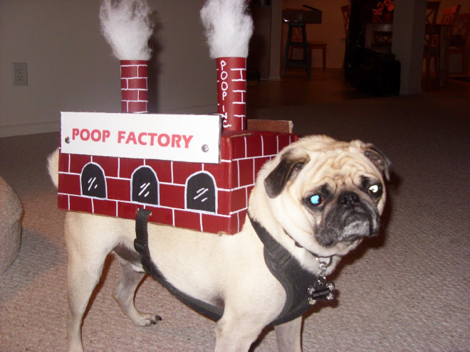 Poop factory.