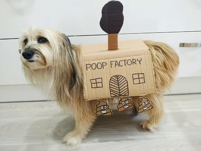 Poop factory.