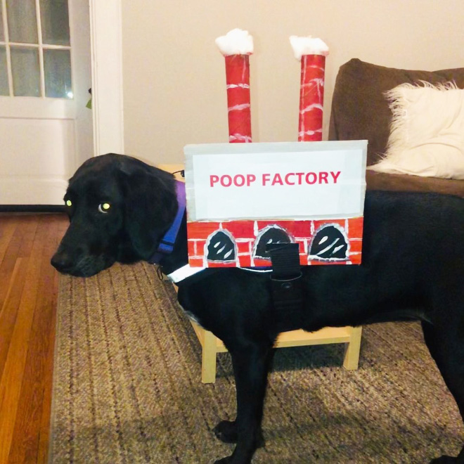 Poop factory.