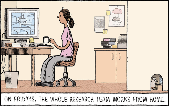 Cartoon by Tom Gauld.