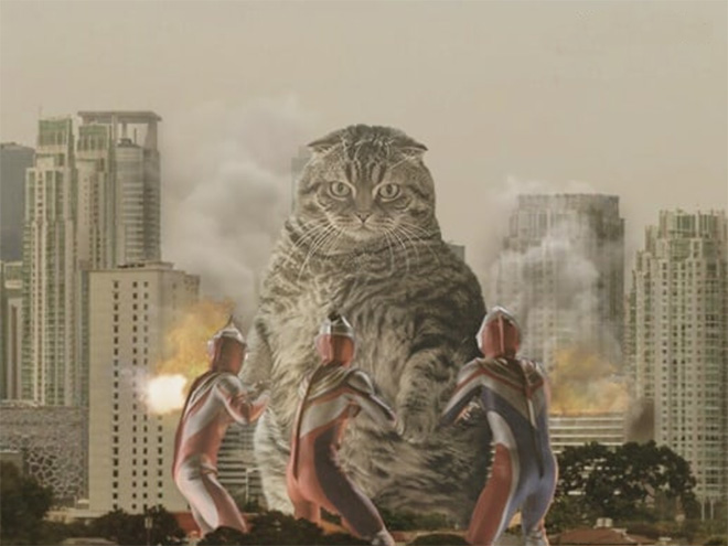 Catzilla: cat Godzilla.