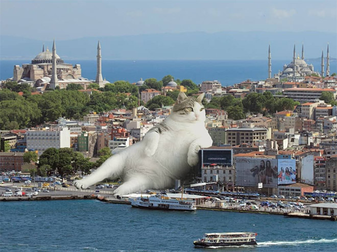 Cat Godzillas: Giant Cats In Cities by Fransdita Muafidin