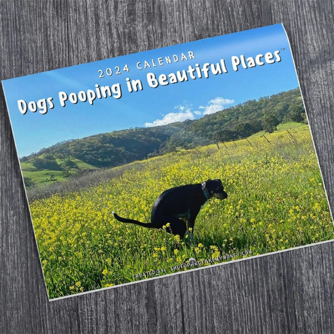 2024 Dogs Pooping In Beautiful Places Calendar Is Here!