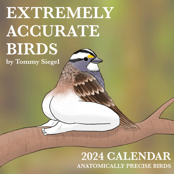 2024 Calendar of Extremely Accurate Birds Is Here!