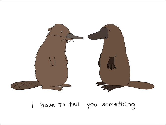 Animal cartoon by Liz Climo.