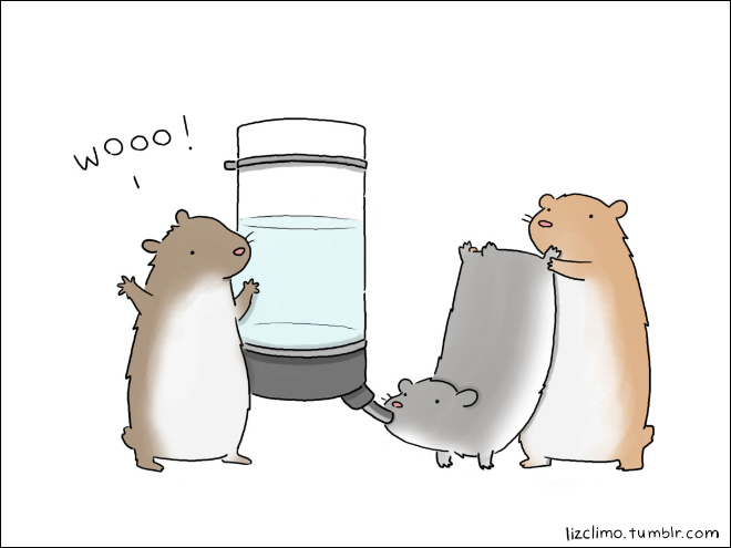 Animal cartoon by Liz Climo.