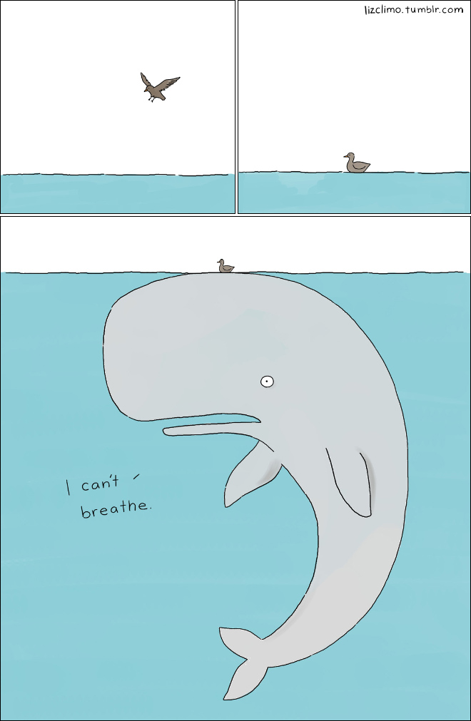 Animal cartoon by Liz Climo.