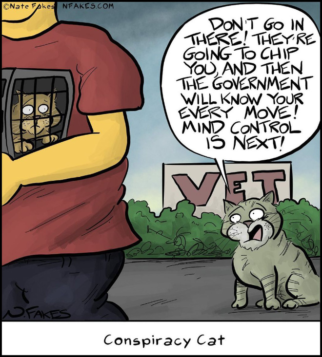 Conspiracy cat.