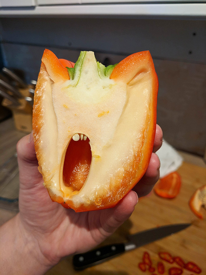 Bell pepper screaming in horror.