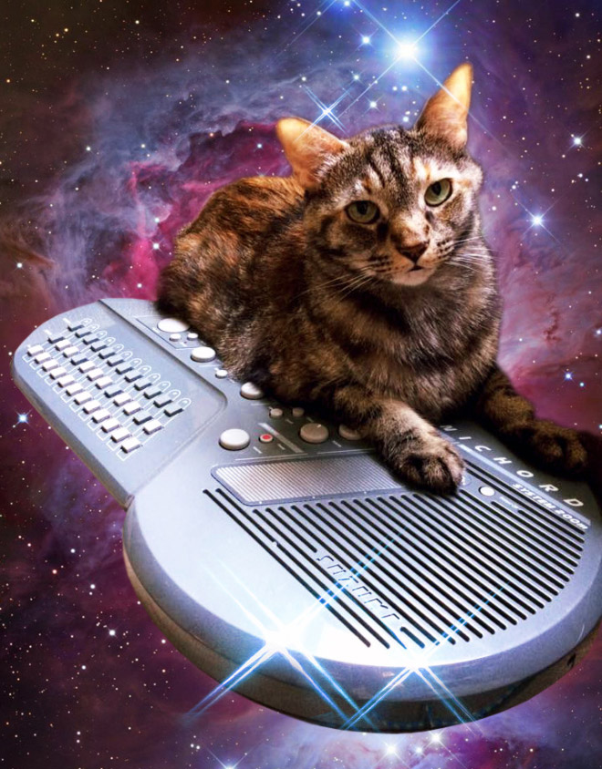 Cat on synthesizer in space.