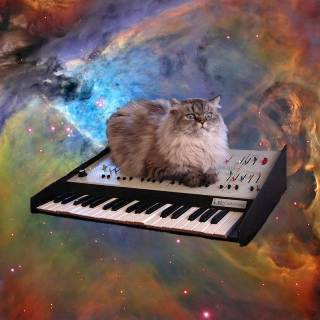 Cat on synthesizer in space.