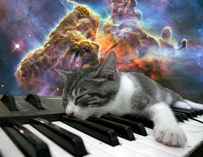 Cat on synthesizer in space.