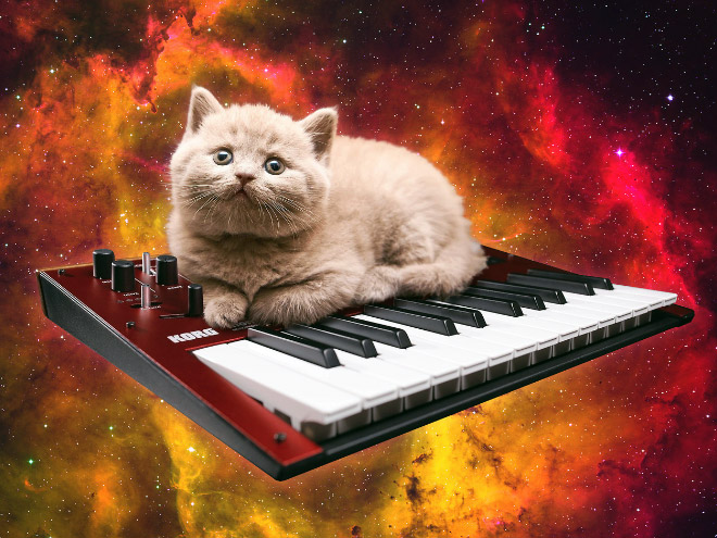 Cat on synthesizer in space.