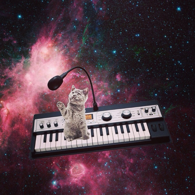 Cat on synthesizer in space.