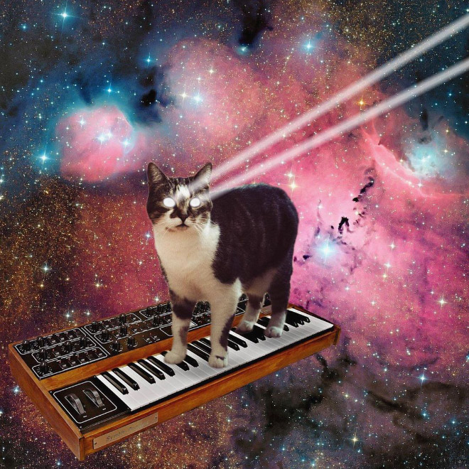 Cat on synthesizer in space.