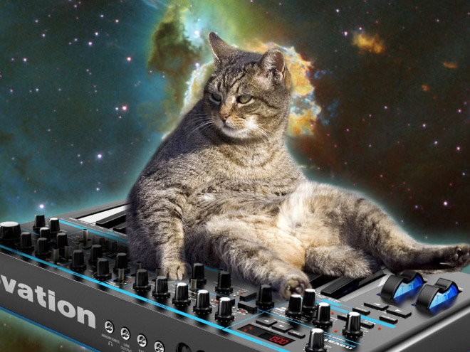 Cat on synthesizer in space.