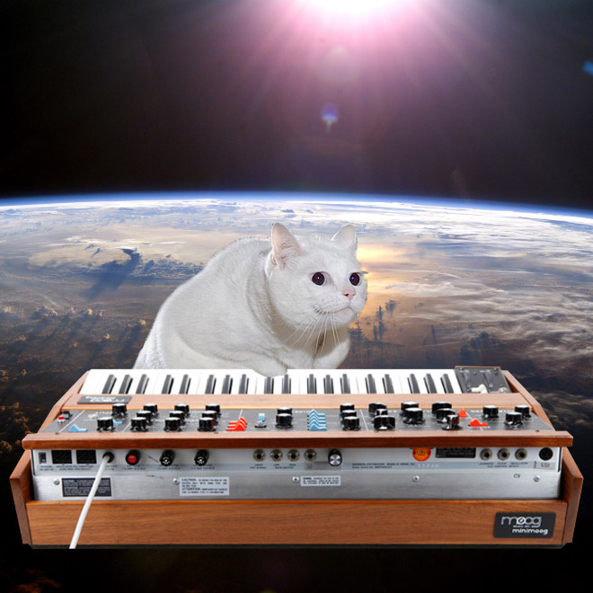 Cat on synthesizer in space.