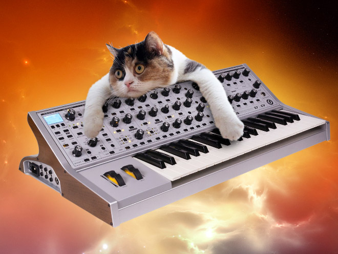 Cat on synthesizer in space.