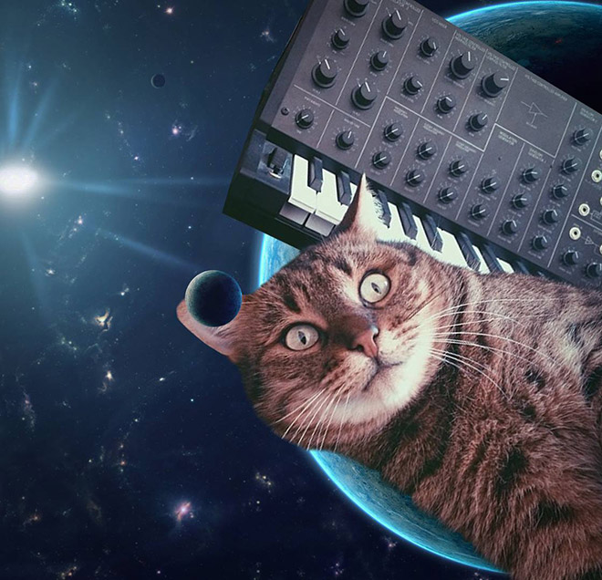 Cat on synthesizer in space.