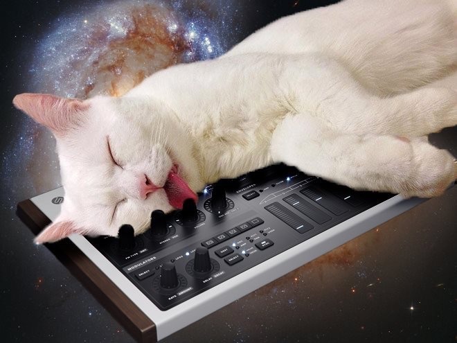 Cat on synthesizer in space.