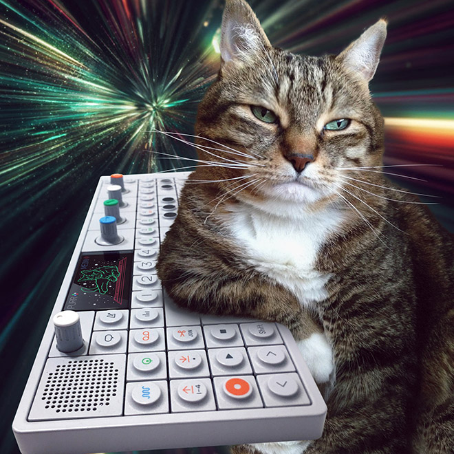 Cat on synthesizer in space.