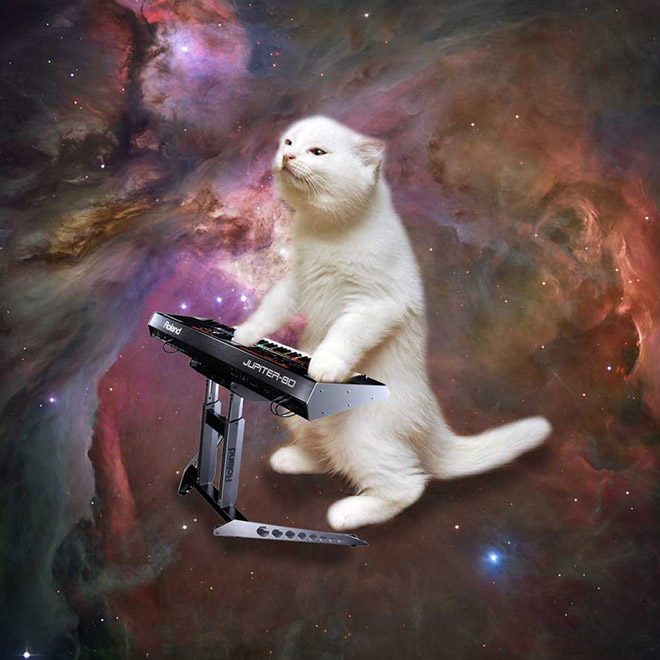 Cat on synthesizer in space.