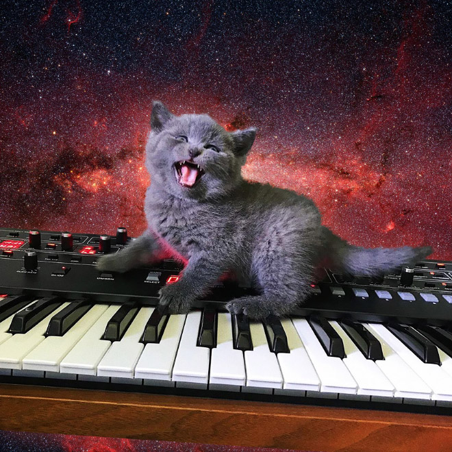 Cat on synthesizer in space.