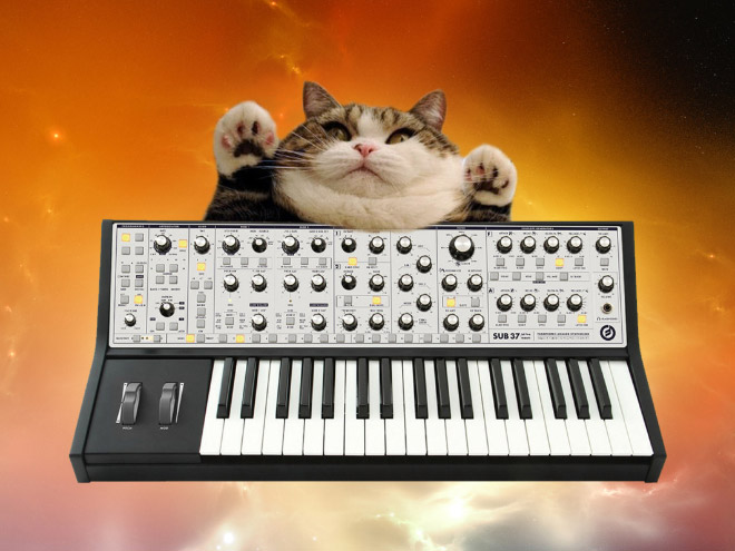 Cat on synthesizer in space.