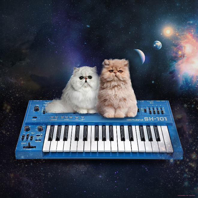 Cat on synthesizer in space.