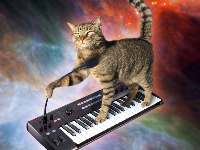 Cat on synthesizer in space.