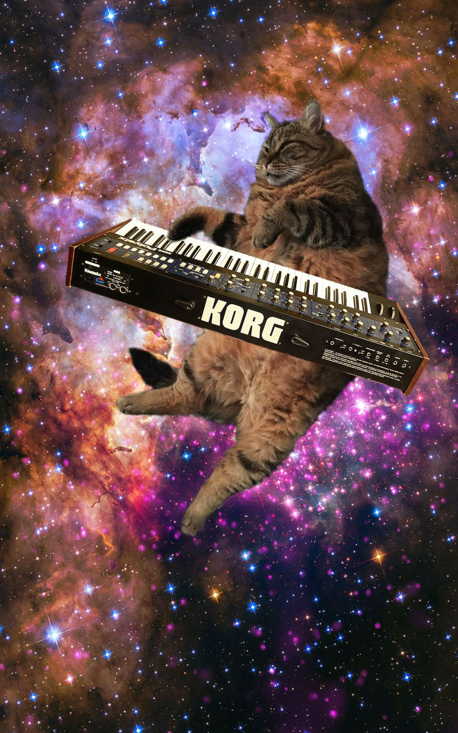 Cat on synthesizer in space.