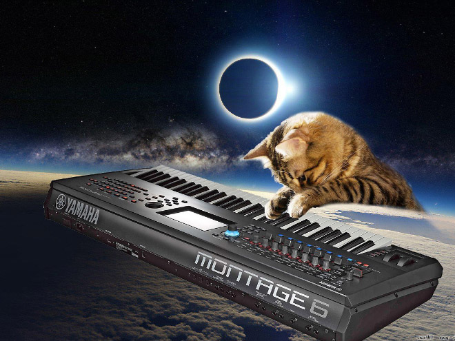 Cat on synthesizer in space.