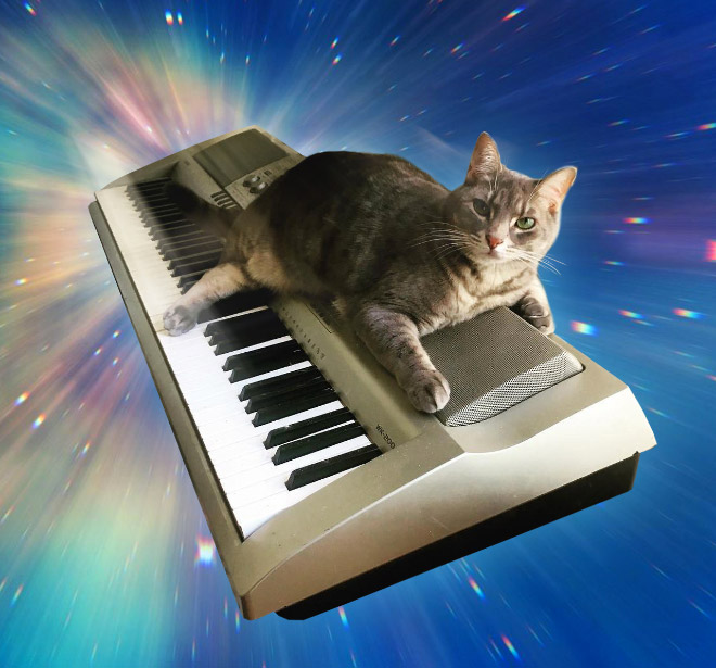 Cat on synthesizer in space.